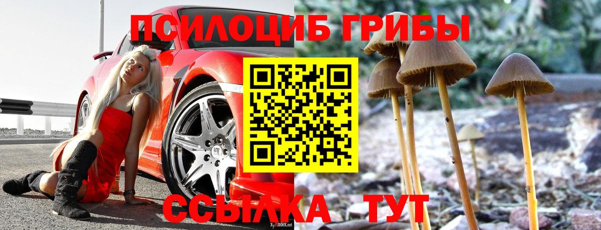 Тимашёвск  Псилоцибиновые грибы Cubensis  Галлюциногенные грибы MAGIC MUSHROOMS  Вход с VPN 